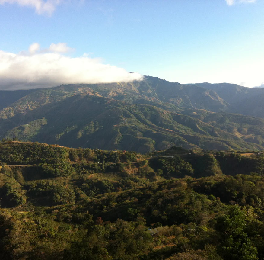 Coffee drying beds at the Guji Goro Bedessa washing station.